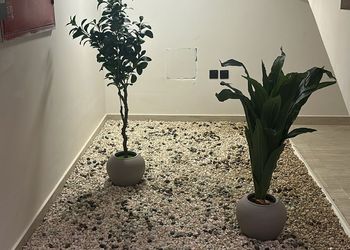 استديو بسرير ماستر ودخول ذاتي