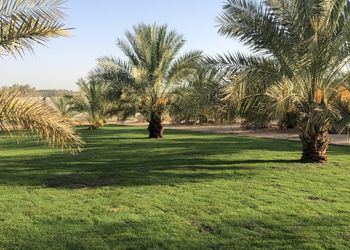مزرعة بمجلس واسع ومسطح اخضر