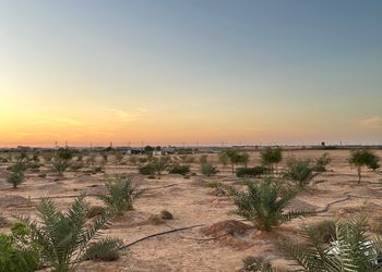 مزرعة بمناظر خلابة وجلسة خارجية 