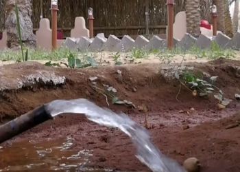 مزرعة بمناظر خلابة وجلسة خارجية 