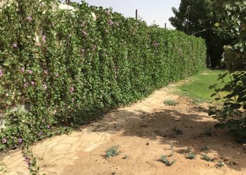 مزرعه بجلسات خارجيه وبيت شعر 