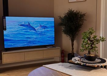 شقة بغرفة نوم وصالة