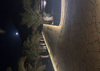 استراحة بمجلس واسع و مسطح اخضر