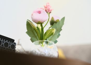 استديو بسرير ماستر وجلسة جانبية 
