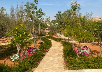 استراحة بمسطح اخضر ومجالس