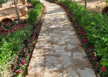 استراحة بمسطح اخضر ومجالس
