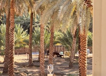 استراحة بمسطحات خضراء 