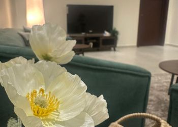 شقة بغرفتين نوم وصالة