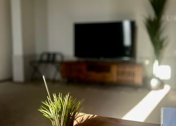 استديو بسرير ماستر وجلسة مريحة