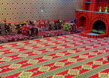 شاليه بمسطح اخضر والعاب اطفال 