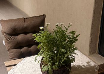 شقة بصالة انيقة وغرفة نوم
