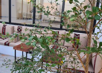 شاليه بمسطح اخضر والعاب اطفال