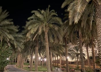 مزرعة 1 بجلسة مطلة على الجبل 