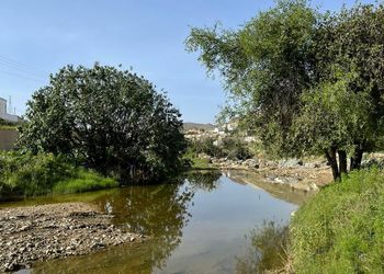 فيلا بصالة مطلة على مزرعة 
