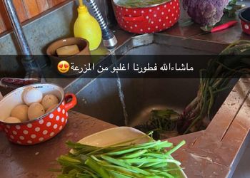 كوخ ريفي بإطلالة على الجبل 