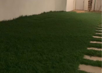 استراحة بمجلسين ومسطح اخضر