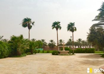 مزرعه بمجلسين وملعب كرة قدم و مطبخ
