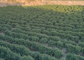 شاليه بمجلس مطل على مسبح داخلي
