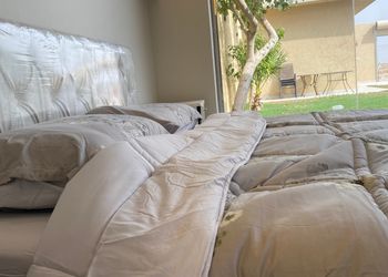 شاليه بمسطح اخضر ومسبح 
