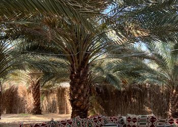 كوخ في مزرعة بسرير ماستر وجلسة 