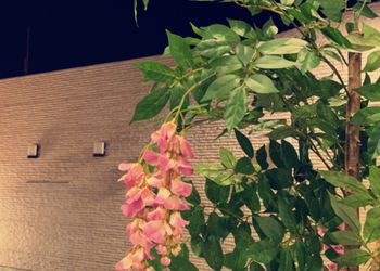 شاليه بجلسة تطل على مسبح خارجي 