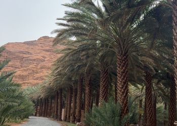 استراحة بمناظر خلابة ومجلس