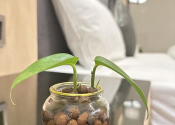 غرفة بأثاث مريح وبسيط