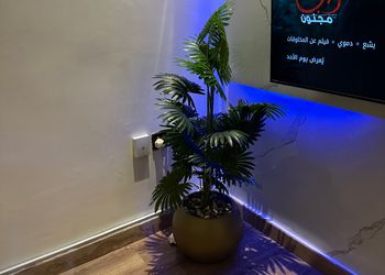 استديو بسرير ماستر وجلسة جانبية 
