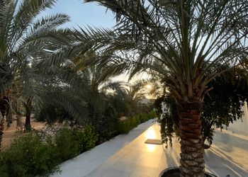 استراحة بصالة جلوس ومسبح 