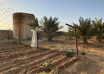 مزرعة بأجواء ريفية  وجلسة خارجية 