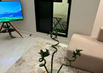 شقة بصالة مريحة ودخول ذاتي 