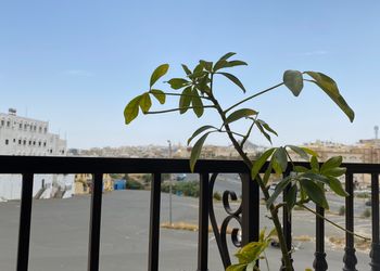 شقة بصالة وغرفة نوم 