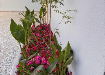 استراحة بجلسة خارجية و مسبح
