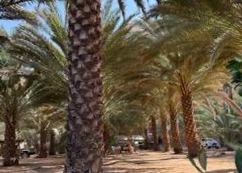 استراحة بمناظر خلابة ومجلس