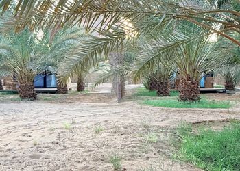 كوخ بسرير ماستر وجلسة خارجية