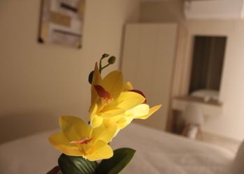 غرفه وصاله انيقه بدخول ذكي 