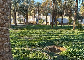 مزرعة بجلسة خارجية وأجواء ممتعة