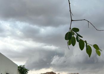 شاليه بجلسة مطلة على الحديقة