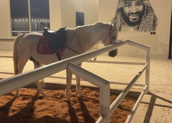 شاليه بجلسة خارجية واسطبل خيل