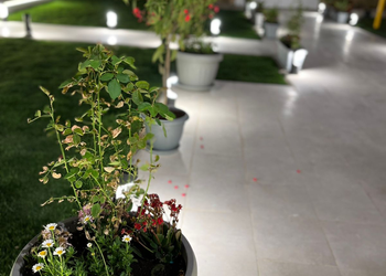 استراحة بمسطح اخضر