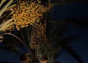 مزرعة بأجواء هادئة وطبيعة خلابة