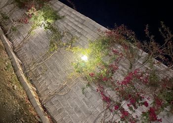 استراحة بصالة جلوس وجلسة خارجية