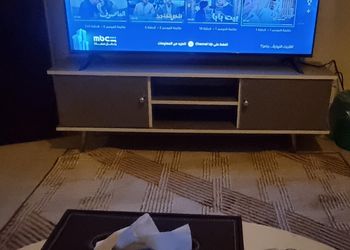 شقة بغرفتين نوم وأثاث هادئ