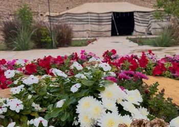 استراحة باطلالة على الجبل ومسبح 