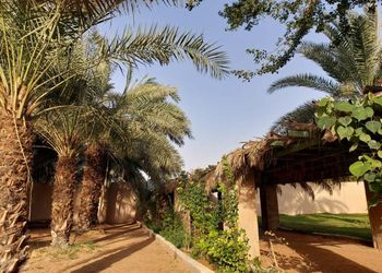 مزرعة بمسطح اخضر و مسبح