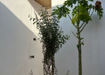 استوديو بتصميم مميز 