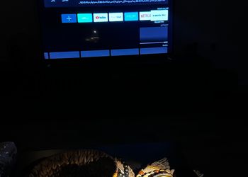 استديو هادئ بسرير ماستر 