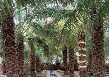مزرعة بجلسة خارجية ومجلس 