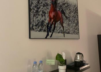 استديو بدخول ذاتي وسرير مريح 