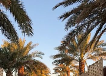 مزرعة بمناظر خلابة ومجالس 